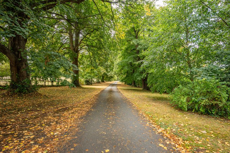 Driveway- click for photo gallery
